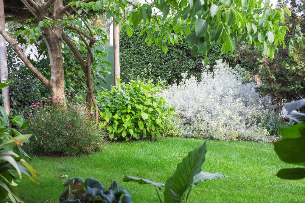 Casa Pando Bed & Breakfast Santa Cruz Rom bilde