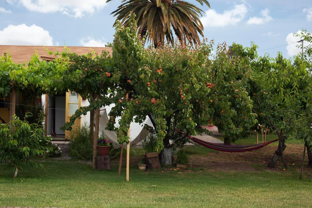 Casa Pando Bed & Breakfast Santa Cruz Eksteriør bilde