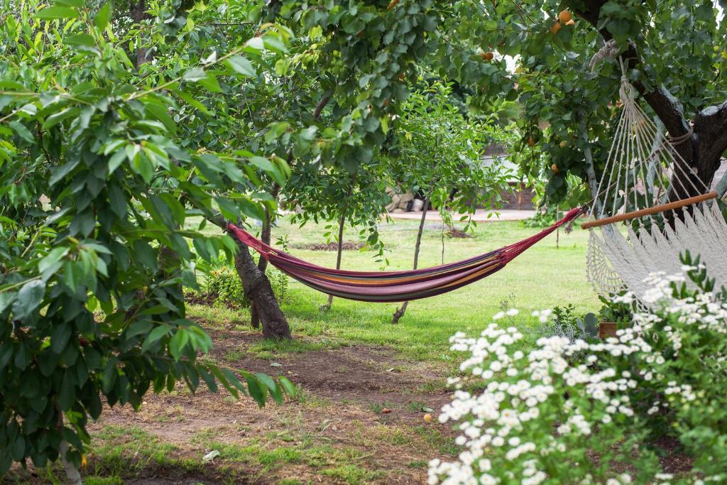 Casa Pando Bed & Breakfast Santa Cruz Rom bilde